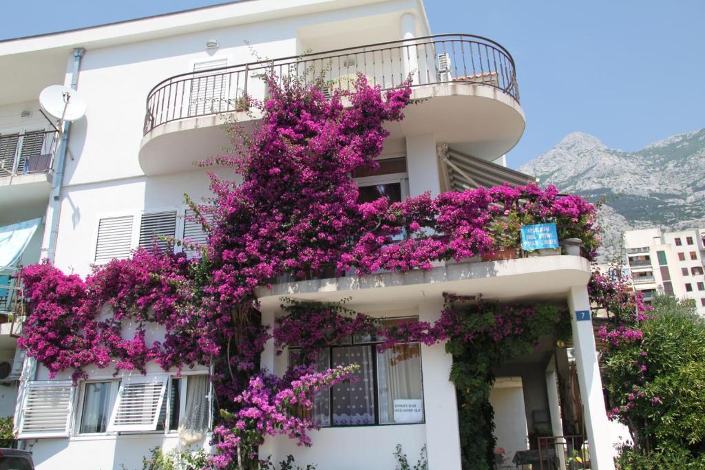 Apartments Milena & Ante ماكارسكا المظهر الخارجي الصورة